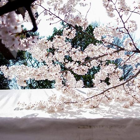 Tora Hotel Tokyo-Kitaueno 寅ホテル北上野 Esterno foto