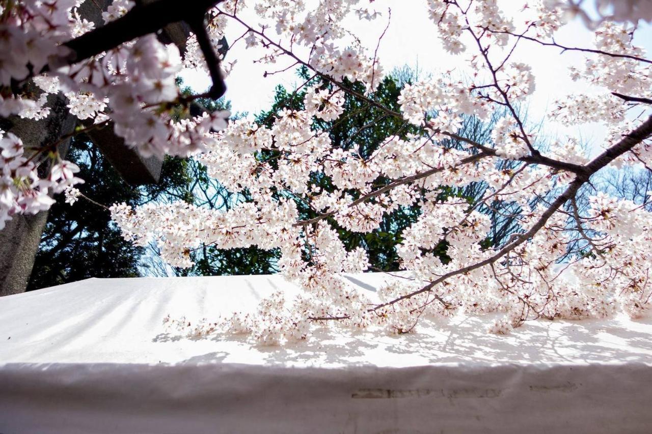 Tora Hotel Tokyo-Kitaueno 寅ホテル北上野 Esterno foto