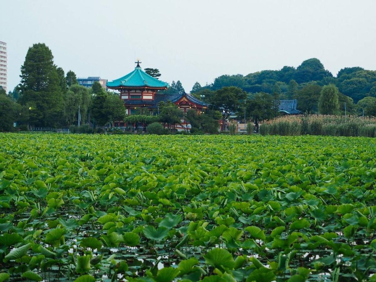 Tora Hotel Tokyo-Kitaueno 寅ホテル北上野 Esterno foto